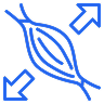 Muscle Trigger Points